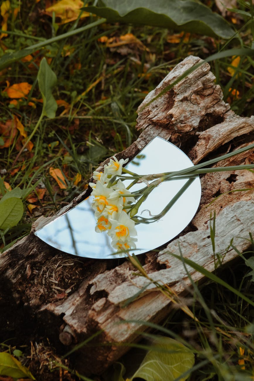 photo of a small bouquet of daffodils on the mirror in the garden