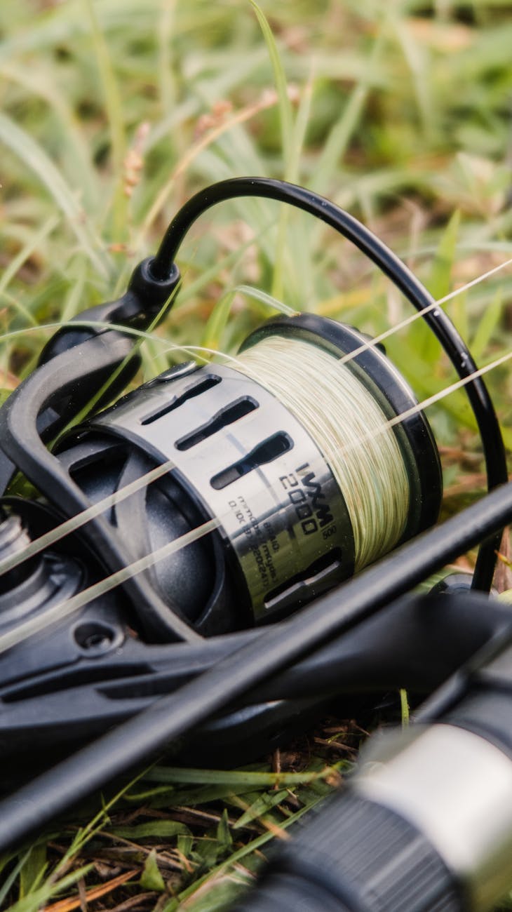 fishing rod in grass