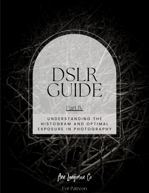 DSLR Guide Part IV - Understanding the Histogram and Optimal Exposure in Photography