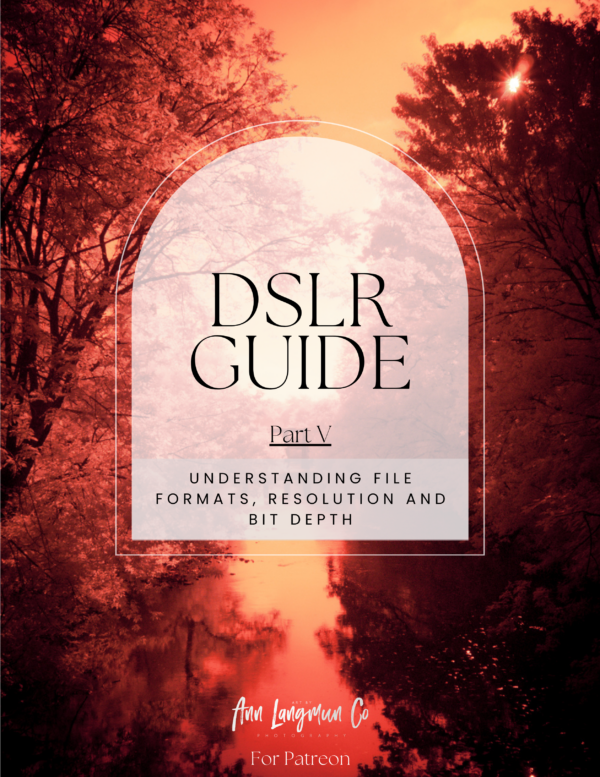 DSLR Guide Part V - Understanding File Formats, Resolution and Bit Depth